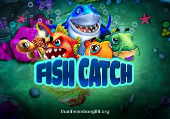 Hình ảnh Fish Catch tại bong88